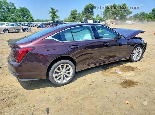 1G6DS5RK0L0129652 2020 CADILLAC CT5 Maroon Հետևի աջ