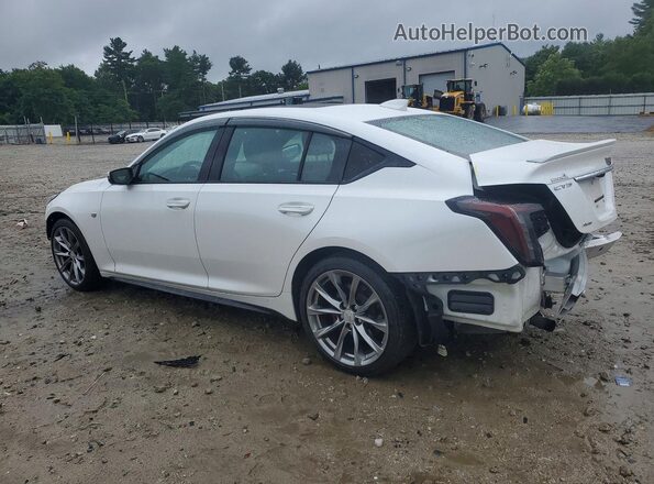 1G6DU5RK8L0119686 2020 CADILLAC CT5 White Задня ліва чверть