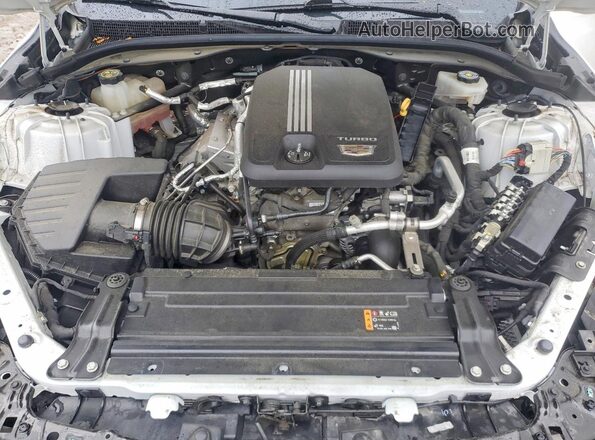 1G6DU5RK8L0119686 2020 CADILLAC CT5 White Вид задньої частини салону