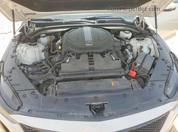 1G6DV5RW4P0131856 2023 CADILLAC CT5 White Սալոնի հետևի տեսք