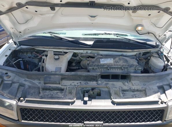 1GAZGNFP2L1256801 2020 CHEVROLET EXPRESS Белый Вид сзади