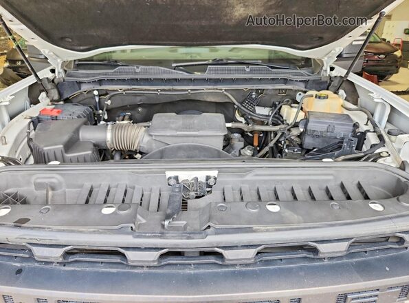 1GC4YLE7XLF110346 2020 CHEVROLET SILVERADO Белый Вид задней части салона