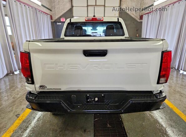 1GCGSBEC1R1134658 2024 CHEVROLET COLORADO Белый Вид сзади