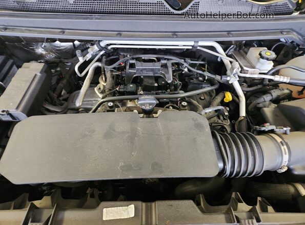 1GCGSBEC1R1134658 2024 CHEVROLET COLORADO Белый Вид задней части салона