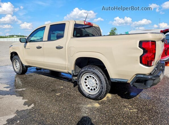 1GCGSBEC7P1165989 2023 CHEVROLET COLORADO Brown Tył lewy