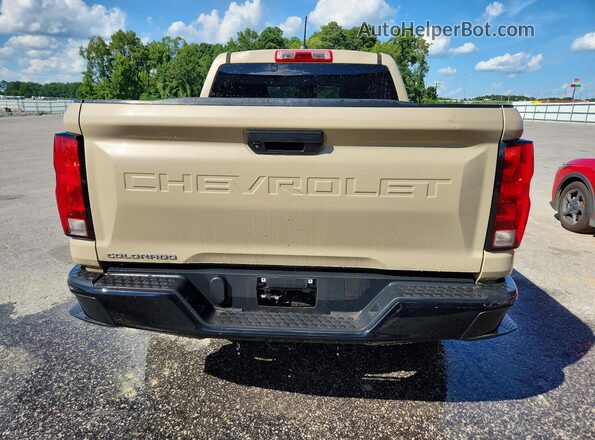 1GCGSBEC7P1165989 2023 CHEVROLET COLORADO Brown Widok z tyłu