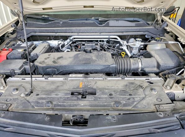 1GCGSBECXR1200706 2024 CHEVROLET COLORADO Tan Սալոնի հետևի տեսք