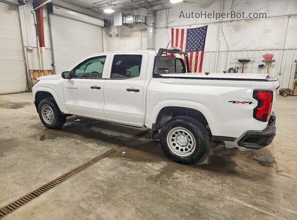 1GCGTBEC5R1272023 2024 CHEVROLET COLORADO White Tył lewy