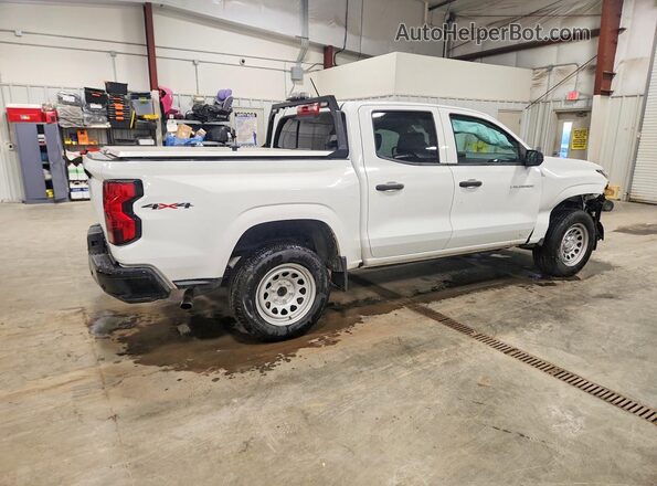 1GCGTBEC5R1272023 2024 CHEVROLET COLORADO White Tył prawy