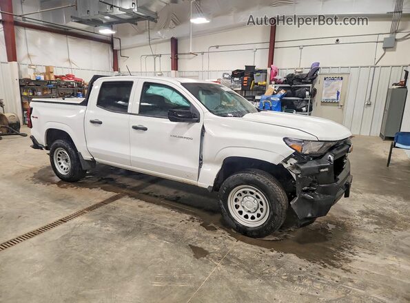 1GCGTBEC5R1272023 2024 CHEVROLET COLORADO White Przód prawy