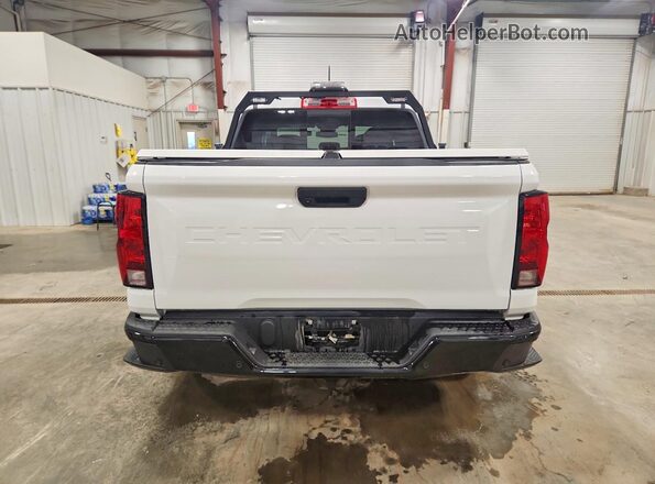1GCGTBEC5R1272023 2024 CHEVROLET COLORADO White Widok z tyłu