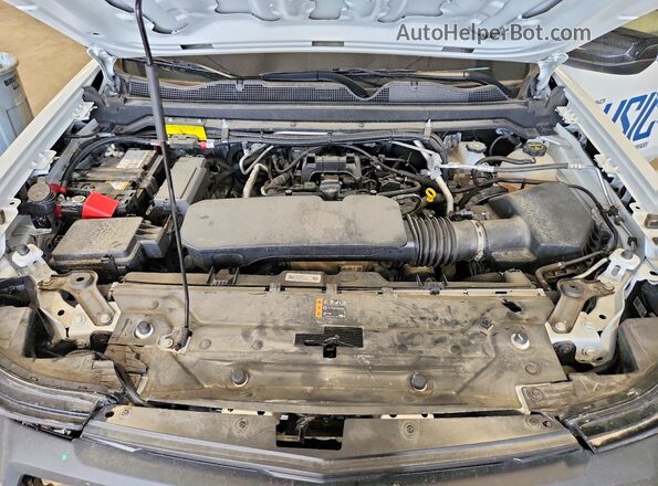 1GCGTBEC5R1272023 2024 CHEVROLET COLORADO White Widok wnętrza z tyłu