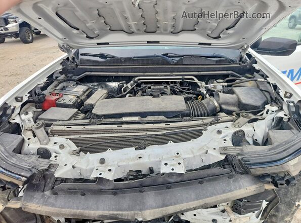 1GCGTBEC9R1173270 2024 CHEVROLET COLORADO Белый Вид задней части салона