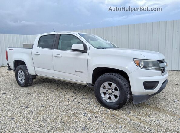 1GCGTBEN0K1308238 2019 CHEVROLET COLORADO White Առջևի աջ