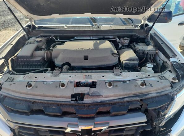 1GCGTDEN6M1209762 2021 CHEVROLET COLORADO Белый Вид задней части салона