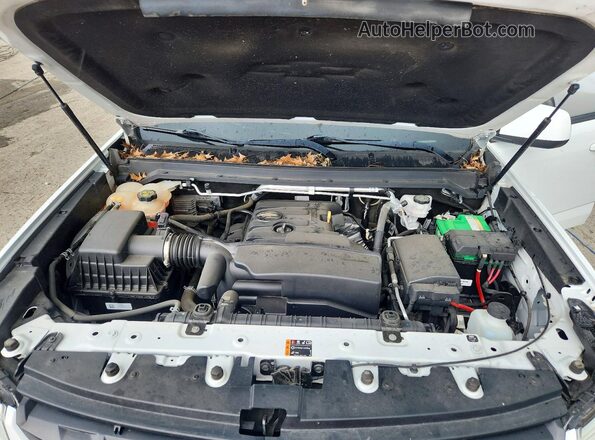 1GCHSCEA8M1247590 2021 CHEVROLET COLORADO White უკანა სალონის ხედი