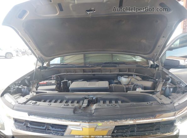 1GCPACED0SZ109047 2025 CHEVROLET SILVERADO Gray Вид ззаду