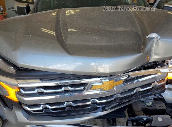 1GCPACED4SZ108516 2025 CHEVROLET SILVERADO Серый Вид задней части салона