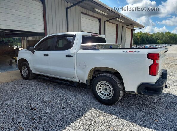 1GCPDAEKXRZ207555 2024 CHEVROLET SILVERADO White Rear left