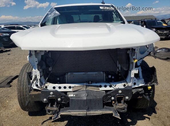 1GCPDBEK5RZ298479 2024 CHEVROLET SILVERADO White Вид спереду
