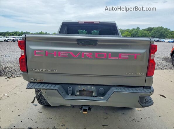 1GCPDBEK9PZ181601 2023 CHEVROLET SILVERADO Gray Widok z tyłu