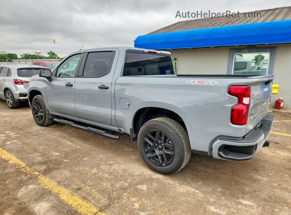 1GCPDBEK9RZ253318 2024 CHEVROLET SILVERADO Silver Հետևի ձախ