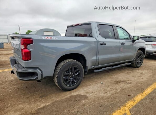 1GCPDBEK9RZ253318 2024 CHEVROLET SILVERADO Silver Հետևի աջ
