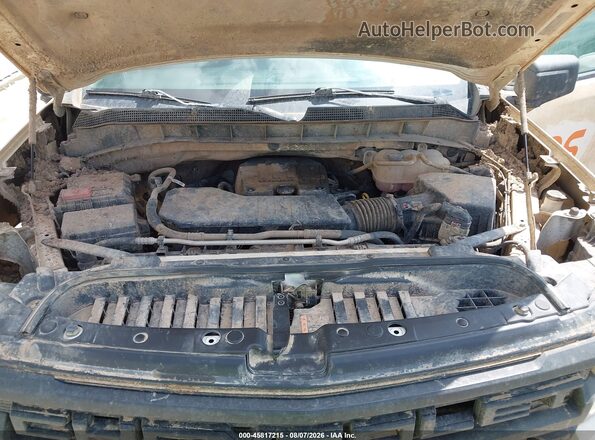 1GCPDBEK9RZ331306 2024 CHEVROLET SILVERADO White Vista interior delantera