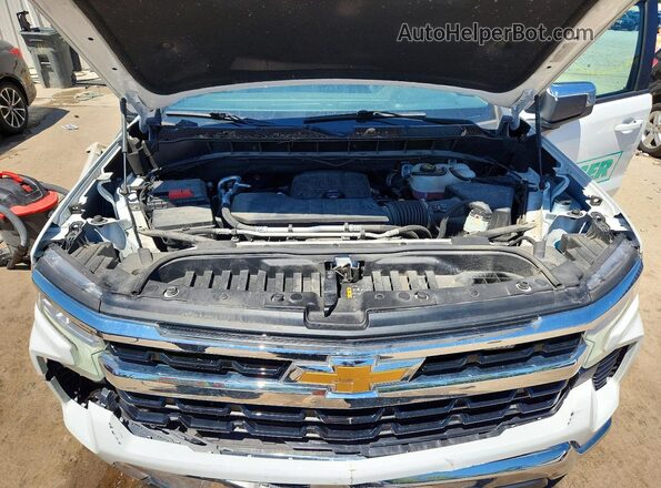 1GCPDDEK3PZ296383 2023 CHEVROLET SILVERADO White უკანა სალონის ხედი