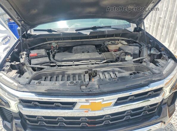 1GCPDDEKXPZ301000 2023 CHEVROLET SILVERADO Black Widok wnętrza z tyłu