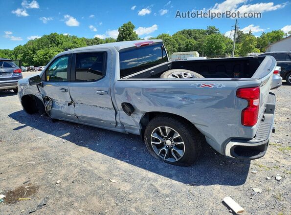 1GCPDKEK4RZ173943 2024 CHEVROLET SILVERADO Gray Հետևի ձախ