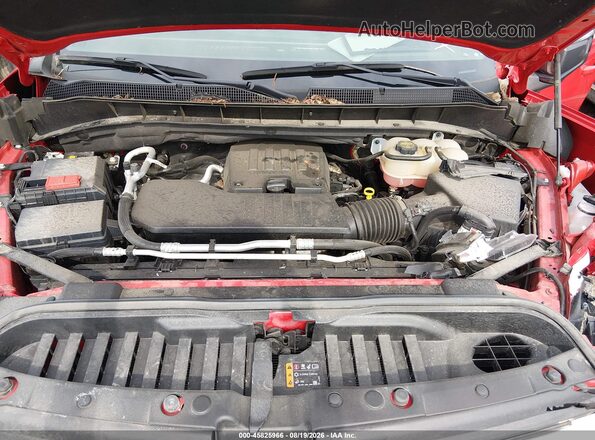 1GCPDKEK6RZ264020 2024 CHEVROLET SILVERADO Red Widok z tyłu
