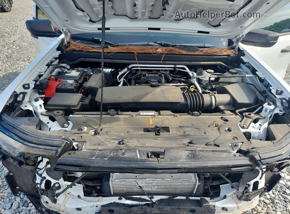 1GCPSBEK7P1131686 2023 CHEVROLET COLORADO White Սալոնի հետևի տեսք
