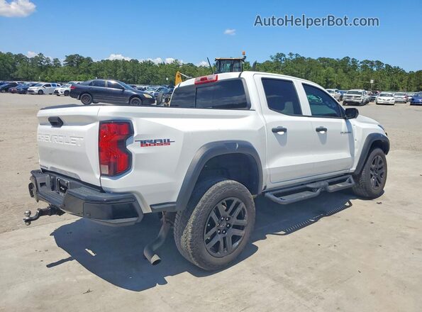 1GCPTEEK8R1299029 2024 CHEVROLET COLORADO White Tył prawy