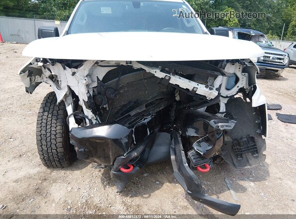 1GCPYCEF2KZ171093 2019 CHEVROLET SILVERADO White Widok z przodu