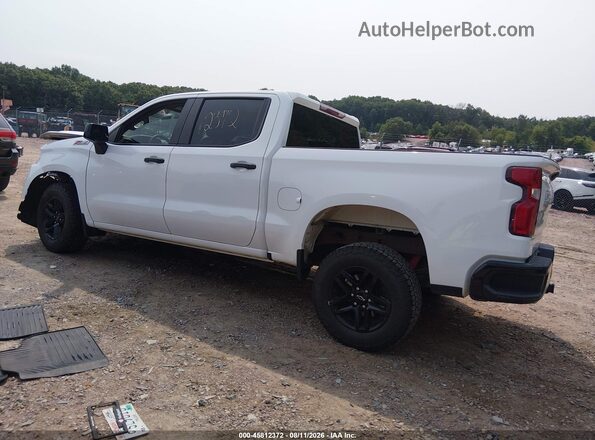 1GCPYCEF2KZ171093 2019 CHEVROLET SILVERADO White Tył lewy