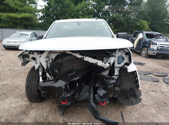 1GCPYCEF2KZ171093 2019 CHEVROLET SILVERADO White Widok wnętrza z tyłu