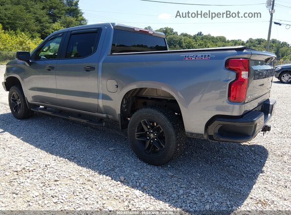 1GCPYCEF3MZ254521 2021 CHEVROLET SILVERADO Gray Հետևի ձախ