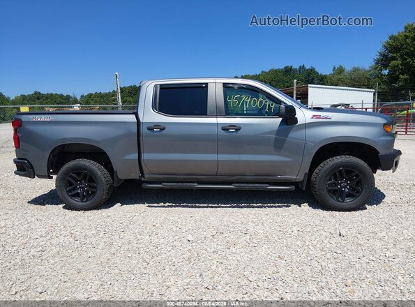 1GCPYCEF3MZ254521 2021 CHEVROLET SILVERADO Gray Սալոնի 360 աստիճան տեսք