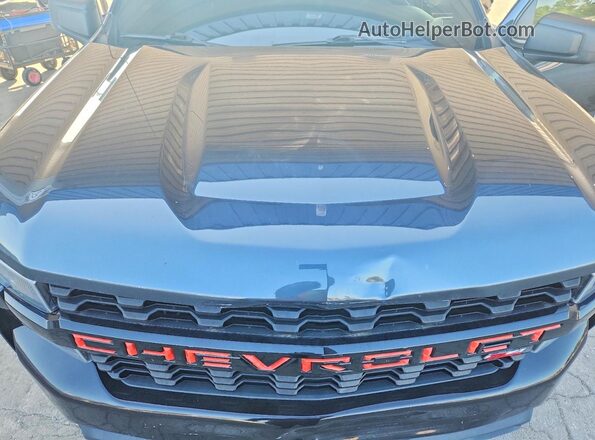 1GCPYCEHXKZ226035 2019 CHEVROLET SILVERADO Charcoal Սալոնի հետևի տեսք