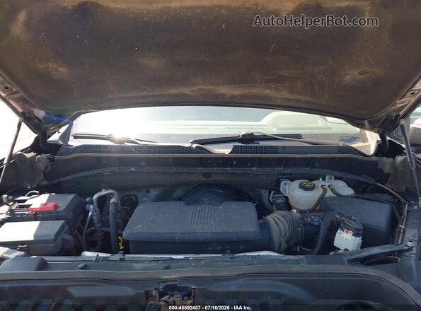 1GCUDDED1PZ299917 2023 CHEVROLET SILVERADO Black Widok z tyłu