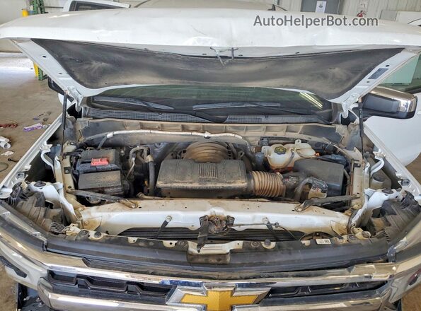 1GCUDDED6PZ233119 2023 CHEVROLET SILVERADO Белый Вид задней части салона