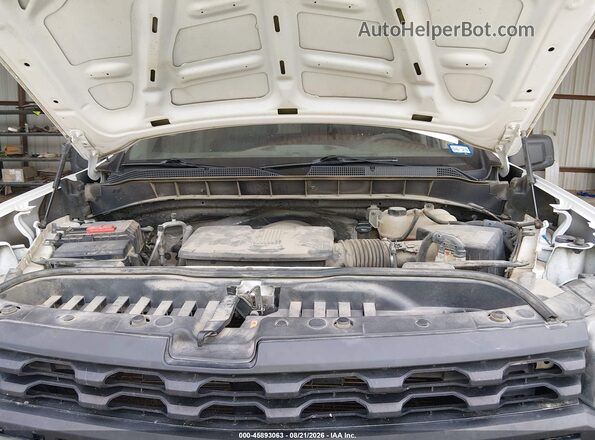 1GCUYAEF2KZ169576 2019 CHEVROLET SILVERADO White Вид ззаду