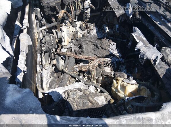 1GCUYAEF3MZ367330 2021 CHEVROLET SILVERADO White უკანა სალონის ხედი