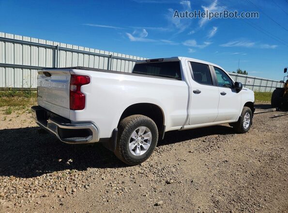 1GCUYAEF5KZ323990 2019 CHEVROLET SILVERADO White Задня права чверть