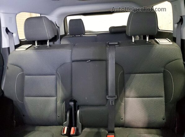 1GKKNRLS2LZ162597 2020 GMC ACADIA Silver Vista de los asientos traseros