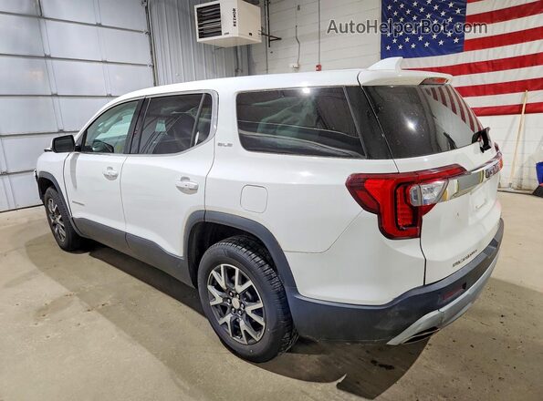 1GKKNRLS9LZ110206 2020 GMC ACADIA Белый Задняя левая четверть