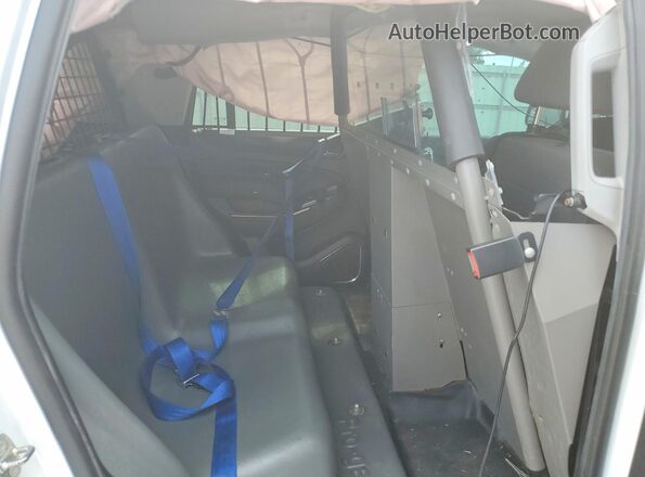 1GNLCDEC2KR298524 2019 CHEVROLET TAHOE Белый Вид задней части салона