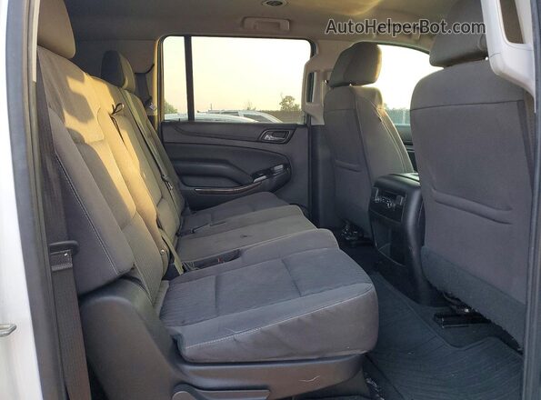 1GNSCGKC9LR175306 2020 CHEVROLET SUBURBAN Белый Вид задней части салона