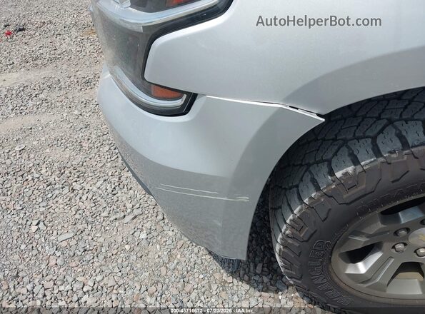 1GNSKAEC1KR348357 2019 CHEVROLET TAHOE Серебряный Вид задней части салона